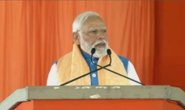 भारत को अमेरिकी पिकलबॉल प्रतियोगिता में 10 पदक