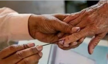 झारखंड की पांच सीटों पर निर्दलीय बने बड़ा फैक्टर, 'इंडिया' गठबंधन के वोटों में करेंगे सेंधमारी