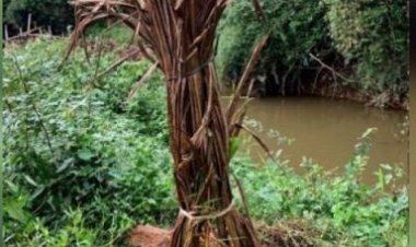 वायनाड वन क्षेत्र में केरल पुलिस और माओवादियों के बीच मुठभेड़