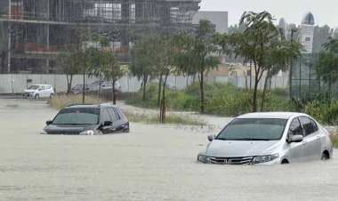 अमेरिका: गर्भावस्था संबंधी मृत्यु दर महामारी के शुरुआती स्तर तक पहुंची