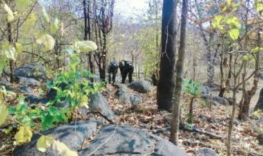 झारखंड के पलामू में नक्सलियों का बंकर ध्वस्त, लैंड माइंस बनाने के सामान बरामद, महिला गिरफ्तार