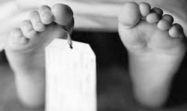 सांड को बचाने कुएं में उतरे तीन लोगों की जहरीली गैस से मौत