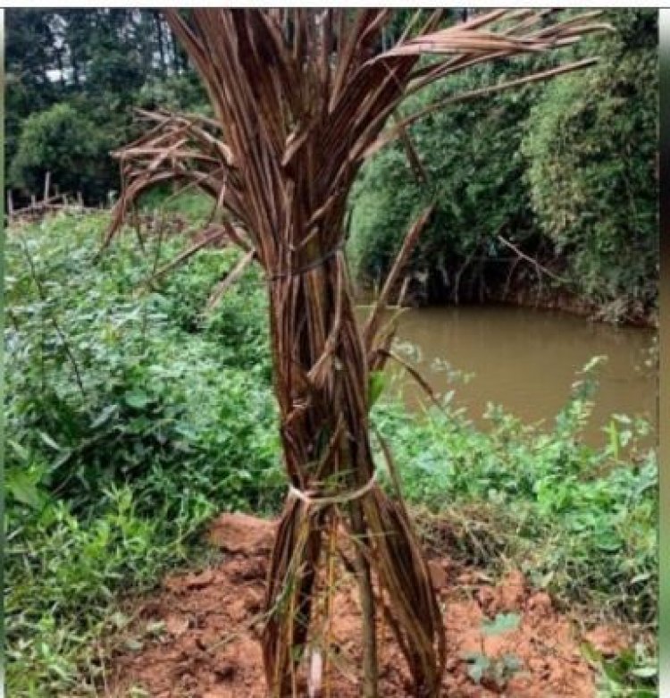 वायनाड वन क्षेत्र में केरल पुलिस और माओवादियों के बीच मुठभेड़