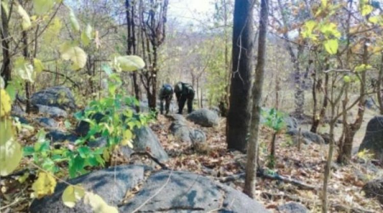 झारखंड के पलामू में नक्सलियों का बंकर ध्वस्त, लैंड माइंस बनाने के सामान बरामद, महिला गिरफ्तार