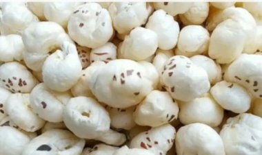 बिहार के 'मिथिला मखाना' की दुनियाभर में होगी पहुंच