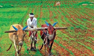 NEWS ON किसानों के लिये सलाह इस माह जून 2024 के प्रमुख कृषि कार्य