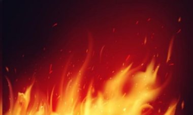 मध्य प्रदेश के विदिशा में पेस्टिसाइड फैक्ट्री में लगी भीषण आग