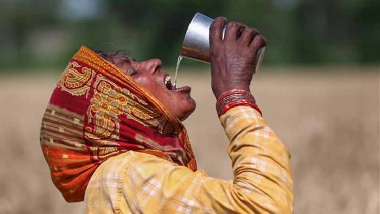 यूपी-बिहार से राजस्थान तक हीटवेव का अलर्ट, देश के मौसम पर IMD ने दी ये जानकारी