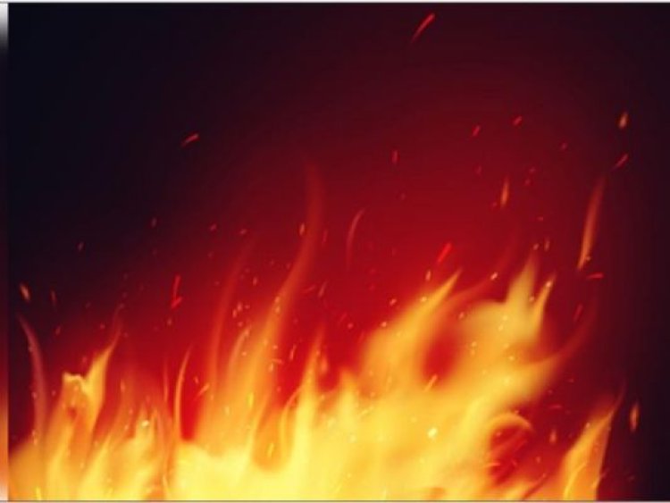 मध्य प्रदेश के विदिशा में पेस्टिसाइड फैक्ट्री में लगी भीषण आग