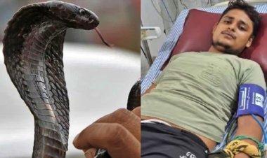 सांप के 6 बार काटने के बाद भी बच गया युवक, सपने में दी धमकी...