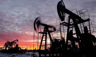 घरेलू कच्‍चे तेल पर विंडफॉल टैक्‍स बढ़कर 7 हजार रुपये प्रति टन, नई दरें लागू