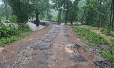 ठेकेदार-अधिकारी ने मिलकर PMGSY की सड़क पर चढ़ाया भ्रष्टाचार का डामर...