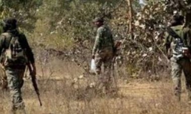 छत्तीसगढ़ में पांच नक्सलियों ने किया आत्मसमर्पण, कुल 19 लाख रु का था इनाम