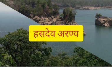 सरगुजा संभाग में पीईकेबी के प्रतिपूरक वनरोपण के अंतर्गत भारतीय वन विभाग ने 50 लाख से ज्यादा पेड़ लगाए