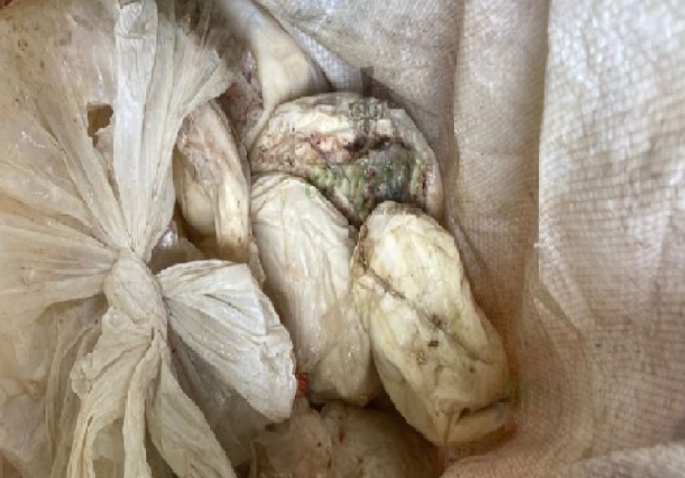 खाद्य विभाग के छापे में डेरी में मिली 50 किलो सड़ी मलाई...