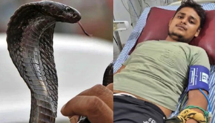 सांप के 6 बार काटने के बाद भी बच गया युवक, सपने में दी धमकी...