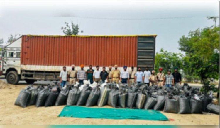 पंजाब पुलिस की बड़ी कार्रवाई, मध्य प्रदेश से लाई गई 41 क्विंटल पोस्त बरामद