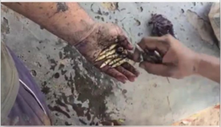 जम्मू-कश्मीर के सांबा में कुएं से मिले 49 जिंदा कारतूस, जांच शुरू