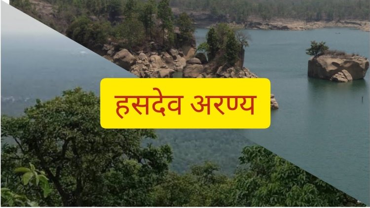 सरगुजा संभाग में पीईकेबी के प्रतिपूरक वनरोपण के अंतर्गत भारतीय वन विभाग ने 50 लाख से ज्यादा पेड़ लगाए