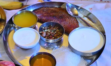 हरेली के मौके पर गांव का पूरा परिवेश नजर आ रहा है।