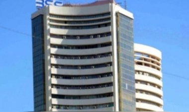 भारतीय शेयर बाजार ने पिछले 25 वर्षों में वॉरेन बफे की कंपनी से भी दिया ज्यादा रिटर्न : रिपोर्ट