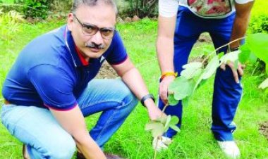 एक पेड़ मां के नाम