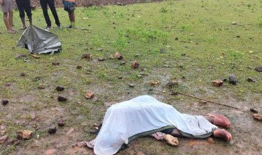 धीरवन गांव में गिरी आकाशीय बिजली:चरवाहा सहित तीन नग मवेशी की मौत, घटनास्थल पर पहुंची पुलिस, जांच जारी