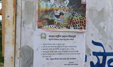 तेंदुए की दहशत में लोग, दिनचर्या में करना पड़ा बदलाव:पार्क प्रबंधन पर्चे चिपकाकर झाड़ा पल्ला, डर के माहौल में छोड़ा