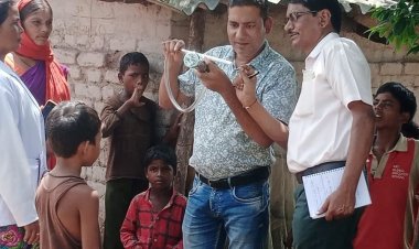 जिले में बाहर से आ रहे लोग डेंगू पॉजिटिव:6 डेंगू और 65 मलेरिया के मरीज मिले; घर-घर जा कर लार्वा नष्ट कर रहा स्वास्थ्य विभाग