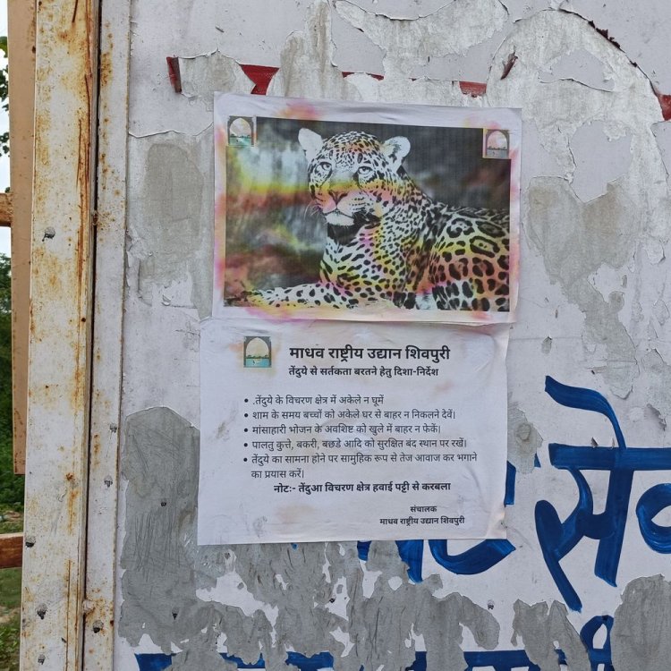 तेंदुए की दहशत में लोग, दिनचर्या में करना पड़ा बदलाव:पार्क प्रबंधन पर्चे चिपकाकर झाड़ा पल्ला, डर के माहौल में छोड़ा
