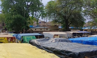 किसानों ने शुरु की सोयाबीन की कटाई:पुराने सोयाबीन की आवक नौ हजार बोरियों के आसपास बनी हुई है