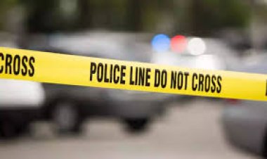 सिंध में  लड़की ने जहर देकर मौत की नींद सुलाए परिवार के 13 लोग, नहीं मानी थी बस एक बात