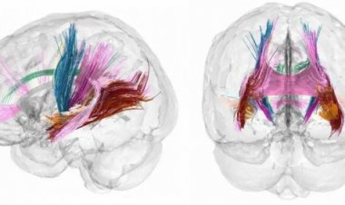 नाबालिग बच्ची के साथ दुष्कर्म करने का आरोपी मुठभेड़ में गोली लगने के बाद हुआ गिरफ्तार