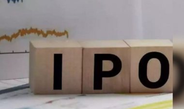 शीर्ष 30 में से 19 बड़े आईपीओ इंडेक्स से अधिक रिटर्न देने में असफल : रिपोर्ट