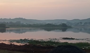 मौसम ने फिर बदली करवट रात में बढ़ने लगी सर्दी:दिन में गर्मी से नहीं मिल रही राहत; रबी बुआई की तैयारी में जुटे किसान
