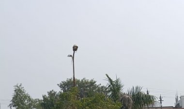 अशोकनगर में नवबंर के दूसरे सप्ताह में बढ़ेगी सर्दी:सुबह-सुबह ठंडी हवा से गुलाबी ठंड का एहसास, दिन में धूप से गर्मी का असर