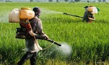 हर्बल और आर्गेनिक उत्पादों की बढ़ी डिमांड