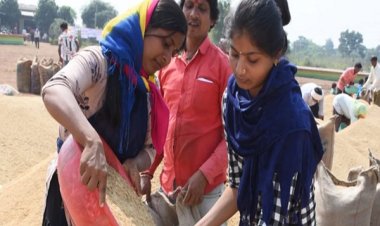 पंचायत-निकाय चुनाव से पहले छत्‍तीसगढ़ में धान खरीदी पर सरकार और विपक्ष में तीखी तकरार