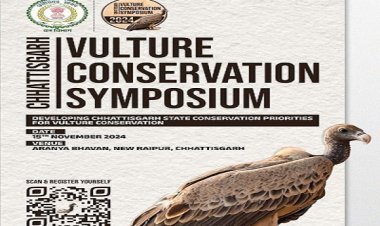 गिद्ध संरक्षण पर रायपुर में 15 को कार्यशाला