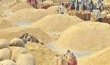 छत्तीसगढ़ में धान खरीदी महापर्व का शुभारंभ