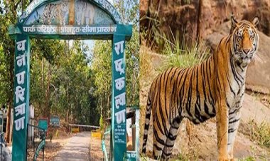 गुरू घासीदास-तमोर पिंगला बना देश का 56वां टाइगर रिजर्व