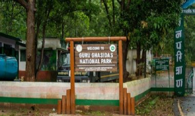 छत्तीसगढ़ में देश का 56वां टाइगर रिजर्व अधिसूचित