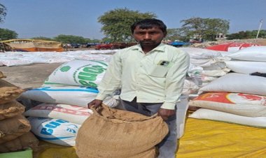 घनश्याम ने की राज्य शासन द्वारा समर्थन मूल्य पर धान खरीदी की सराहना