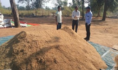 7 हजार 190 पंजीकृत किसानों से 3 लाख क्विंटल से अधिक का किया गया धान उपार्जन