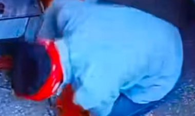 श्री हनुमान मंदिर के ताले तोड़ घुसे चोर, VIDEO:दान पेटी से नगदी चुराई, CCTV में कैद हुई घटना