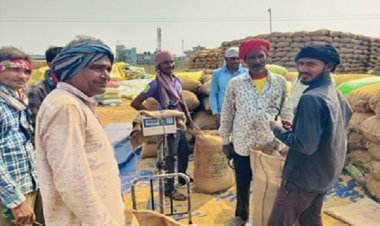 ज़िले के धान उपार्जन केंद्रों में 16252 किसानों ने बेचा 86093 मेट्रिक टन धान