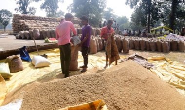 जिले में प्रति एकड़ 21 क्विंटल के मान से हो रही धान खरीदी