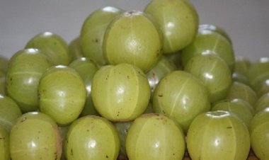 घर पर बनाएं आंवले खट्टी-मिठी डाइजेस्टिव गोली