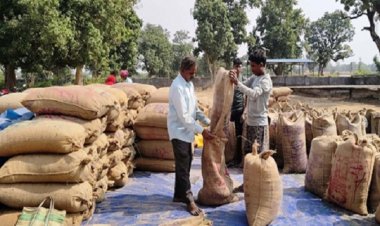 किसानों को मिल रहा मेहनत का फल, सरकार की व्यवस्था हो रही सफल