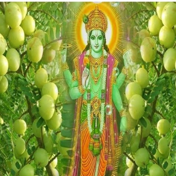 ​​​​​​​लालघाटी अग्रवाल समाज का आंवला नवमी व दीपावली मिलन समारोह:सीहोर रोड स्थित ग्राम खजूरी में गीत-संगीत, खेलकूद और आर्केस्ट्रा का आयोजन